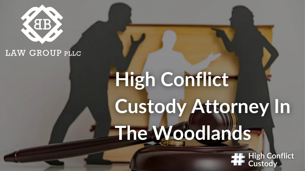 High Conflict Custody Attorney In The Woodlands Image